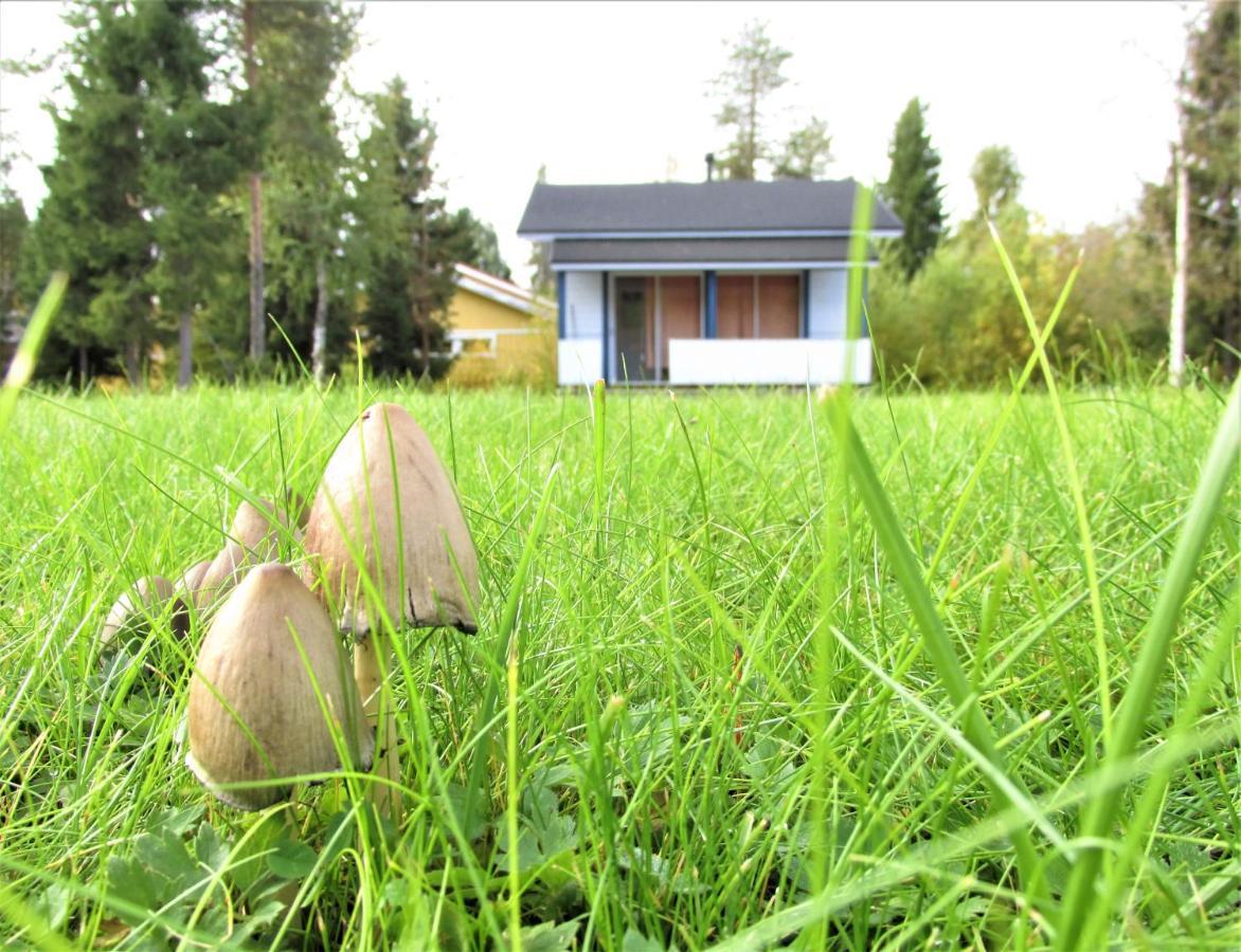 Scandinavian Dream Cottages Vikajarvi- Rovaniemi Exteriör bild