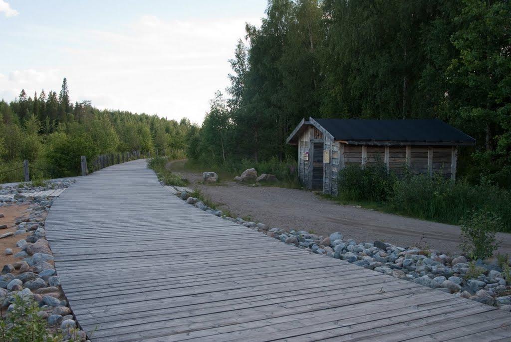 Scandinavian Dream Cottages Vikajarvi- Rovaniemi Exteriör bild