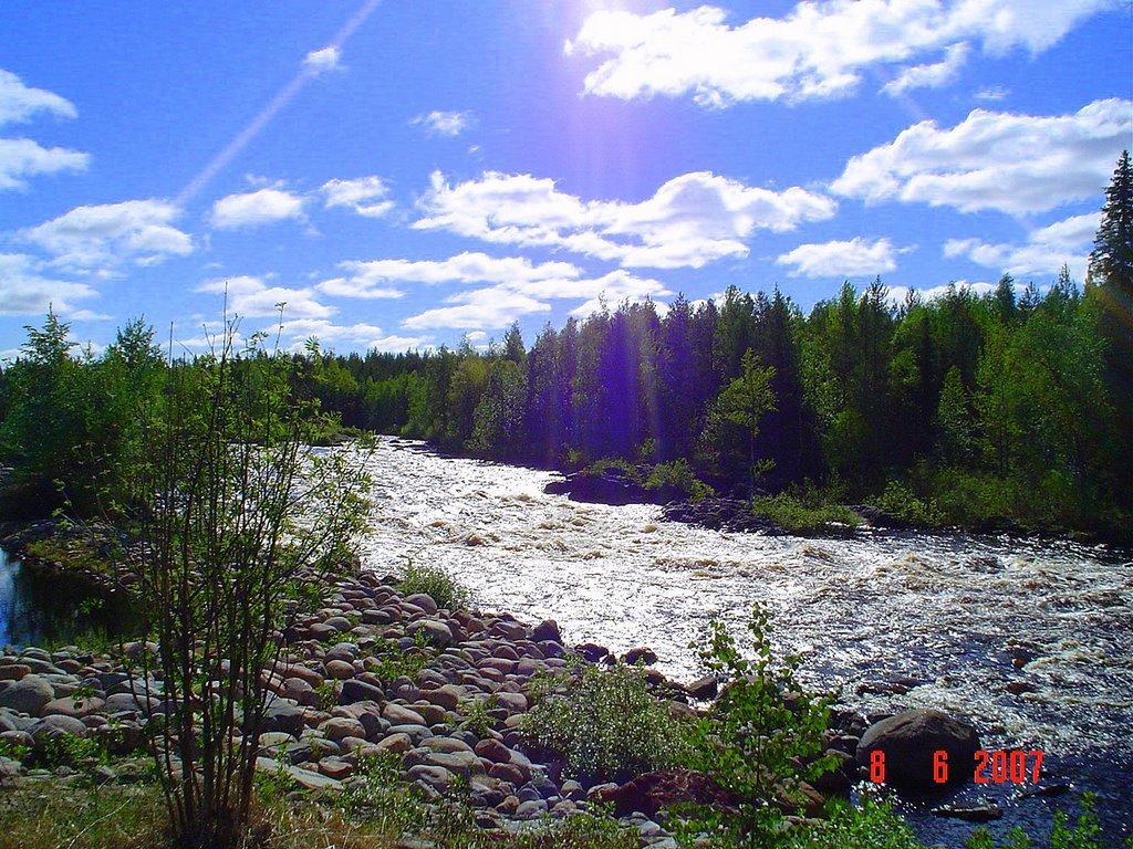 Scandinavian Dream Cottages Vikajarvi- Rovaniemi Exteriör bild