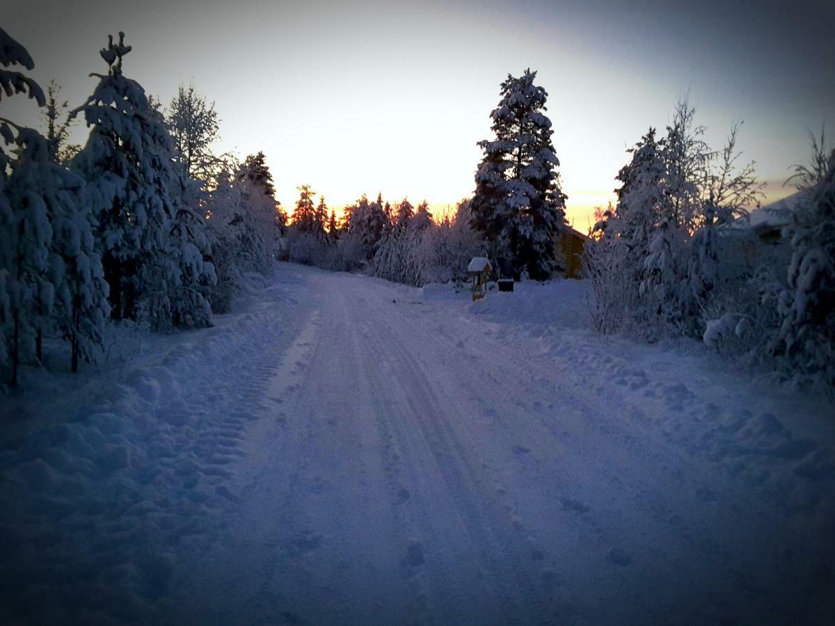 Scandinavian Dream Cottages Vikajarvi- Rovaniemi Exteriör bild
